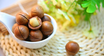 Aceite de Macadamia, un poderoso regenerador