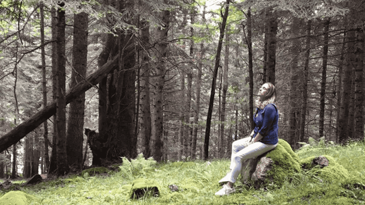 Practica baños de bosque, paseos terapéuticos por la naturaleza